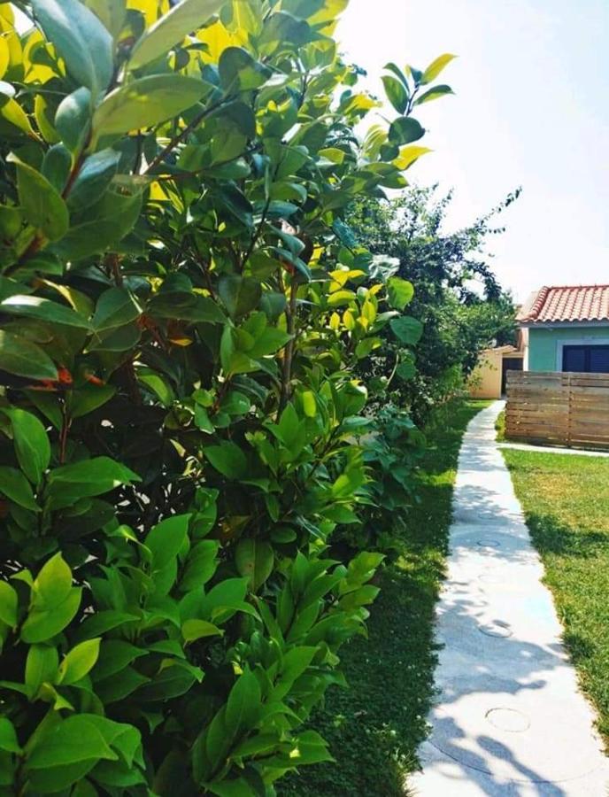 Casas Do Paco - Casas De Ferias Cabeceiras de Basto Exterior foto
